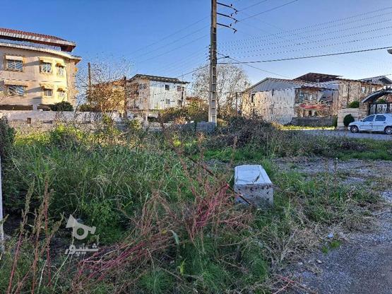 2 زمین مسکونی مشارکت در ساخت236 و 280 متر در گروه خرید و فروش املاک در مازندران در شیپور-عکس1