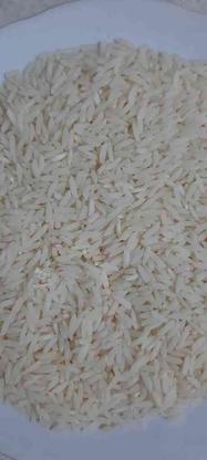 برنج درجه یک طارم در گروه خرید و فروش خدمات و کسب و کار در مازندران در شیپور-عکس1