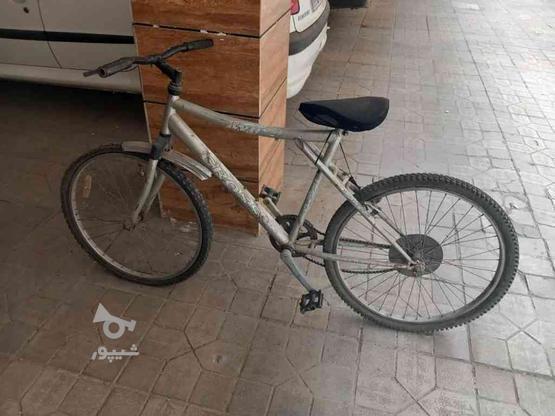 دوچرخه سالم در گروه خرید و فروش ورزش فرهنگ فراغت در قزوین در شیپور-عکس1