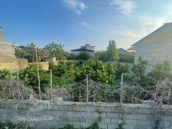 زمین مسکونی 296 متری سند دار در بندپی شرقی در گروه خرید و فروش املاک در مازندران در شیپور-عکس1