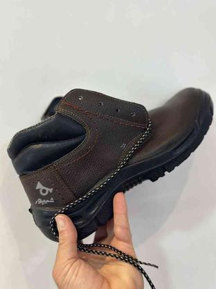 کفش ایمنی پدردار،نو آکبند در گروه خرید و فروش صنعتی، اداری و تجاری در خوزستان در شیپور-عکس1