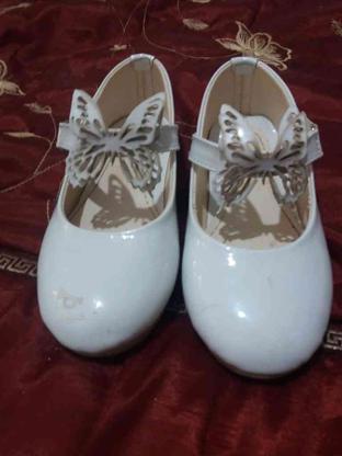 چند عدد کفش بچگانه درحده نو با قیمت مناسب بفروش میرسد در گروه خرید و فروش لوازم شخصی در مازندران در شیپور-عکس1