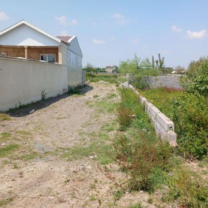 فروش زمین مسکونی 433 متر در مرکز شهر در گروه خرید و فروش املاک در گیلان در شیپور-عکس1