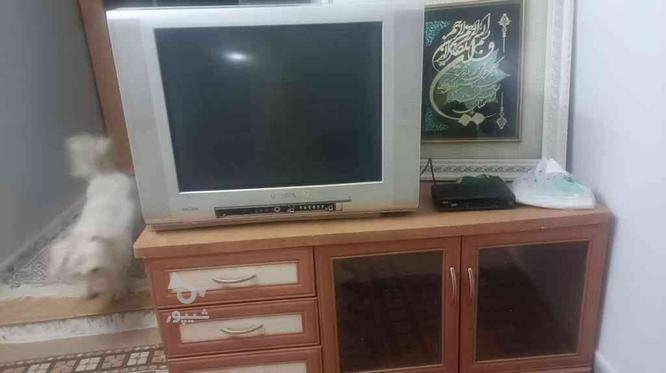 تلویزیون ولوازم دیگر به قیمت مناسب در گروه خرید و فروش لوازم الکترونیکی در گلستان در شیپور-عکس1