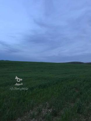 فروش زمین کشاورزی دیمی به مساحت 16 هکتار در روستای حمامیان در گروه خرید و فروش املاک در آذربایجان غربی در شیپور-عکس1