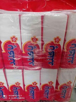 دستمال کاغذی برندپاکلند در گروه خرید و فروش لوازم شخصی در همدان در شیپور-عکس1