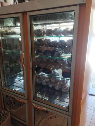 فروش یخچال و وسایل مرغ فروشی در گروه خرید و فروش صنعتی، اداری و تجاری در کردستان در شیپور-عکس1