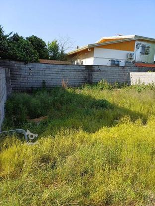 فروش زمین بافت مسکونی در گروه خرید و فروش املاک در مازندران در شیپور-عکس1