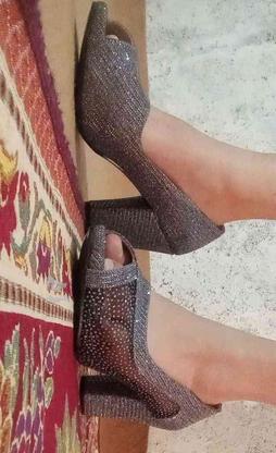 کفش نو اصلا استفاده نشده در گروه خرید و فروش لوازم شخصی در آذربایجان غربی در شیپور-عکس1