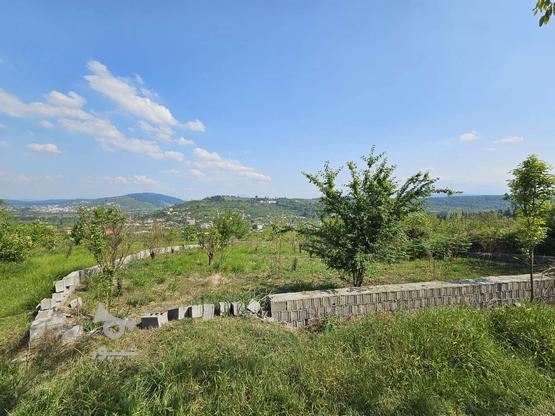 830 متر زمین باغی در گروه خرید و فروش املاک در مازندران در شیپور-عکس1