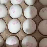 فروش تخم مرغ