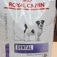 غذای رویال دنتال Dental خشک سگ