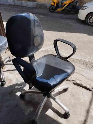 صندلی گردون جکدار صفر در گروه خرید و فروش صنعتی، اداری و تجاری در مازندران در شیپور-عکس1