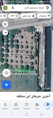 فروش زمین باغ 1700 متر در گروه خرید و فروش املاک در مازندران در شیپور-عکس1