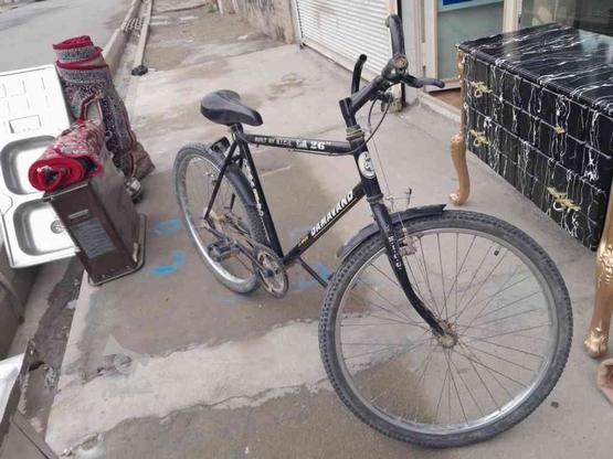 دوچرخه دماوند در گروه خرید و فروش ورزش فرهنگ فراغت در آذربایجان غربی در شیپور-عکس1
