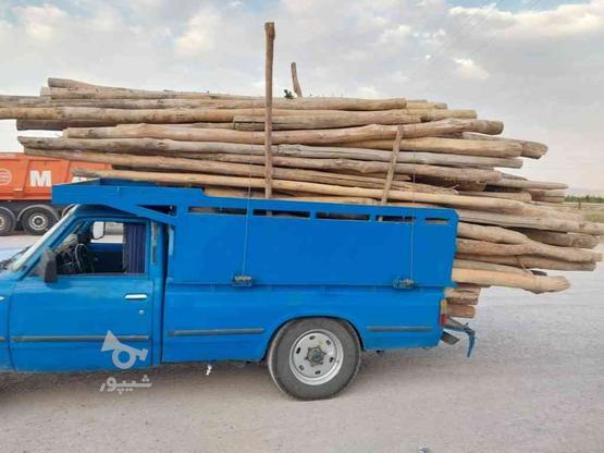خرید انواع چوب و چوب سقفی در گروه خرید و فروش خدمات و کسب و کار در زنجان در شیپور-عکس1