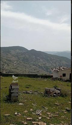 زمین 600 متر شهرکی گلستان دو روستای سرکا در گروه خرید و فروش املاک در مازندران در شیپور-عکس1