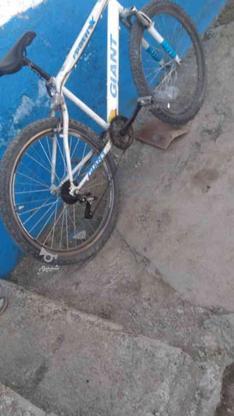 فروش دوچرخه 26 سالم در گروه خرید و فروش ورزش فرهنگ فراغت در گیلان در شیپور-عکس1