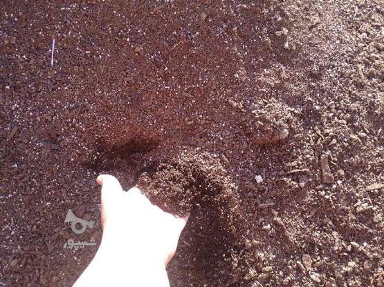 خاک مناسب گلدان سینی نشا گلخانه نشا در گروه خرید و فروش صنعتی، اداری و تجاری در مازندران در شیپور-عکس1