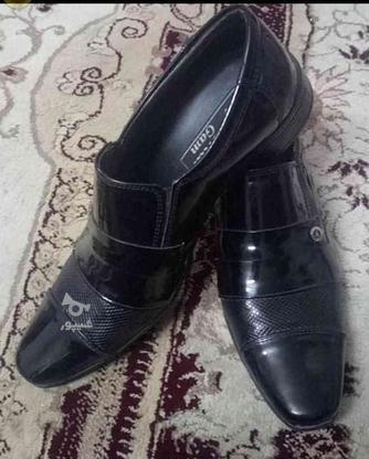 کفش مجلسی سایز 39 در گروه خرید و فروش لوازم شخصی در سمنان در شیپور-عکس1
