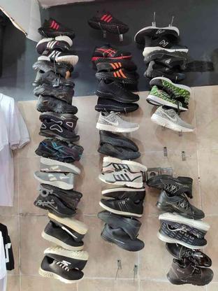300 جفت کتانی دمپایی و کفش حراج به علت تغییر شغل فروش عمده در گروه خرید و فروش خدمات و کسب و کار در مازندران در شیپور-عکس1