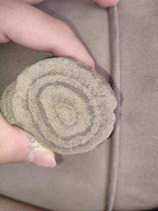 سنگ فسیل استروماتولیت بسیار نادر 4میلیارد سال قدمت در گروه خرید و فروش ورزش فرهنگ فراغت در کرمانشاه در شیپور-عکس1