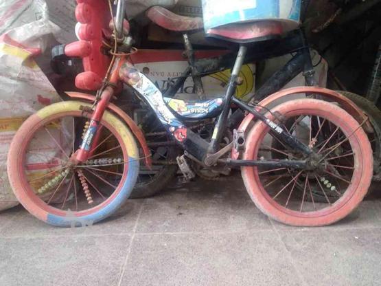 25 عدد دوچرخه در گروه خرید و فروش ورزش فرهنگ فراغت در خراسان رضوی در شیپور-عکس1
