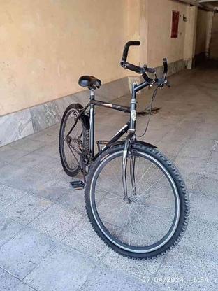 دوچرخه ساده بدون دنده در گروه خرید و فروش ورزش فرهنگ فراغت در تهران در شیپور-عکس1