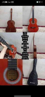 گیتار سالم استفاده نشده کاملا نو در گروه خرید و فروش ورزش فرهنگ فراغت در مازندران در شیپور-عکس1