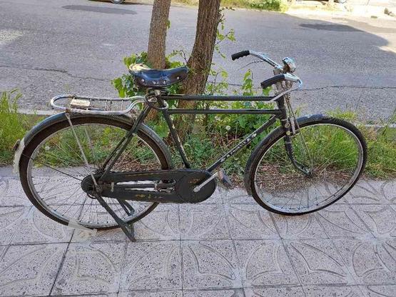 دوچرخه 28 فونیکس چینی در گروه خرید و فروش ورزش فرهنگ فراغت در آذربایجان غربی در شیپور-عکس1