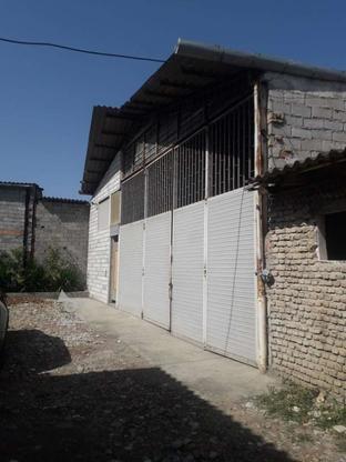 کارگاه 85متری در گروه خرید و فروش املاک در مازندران در شیپور-عکس1