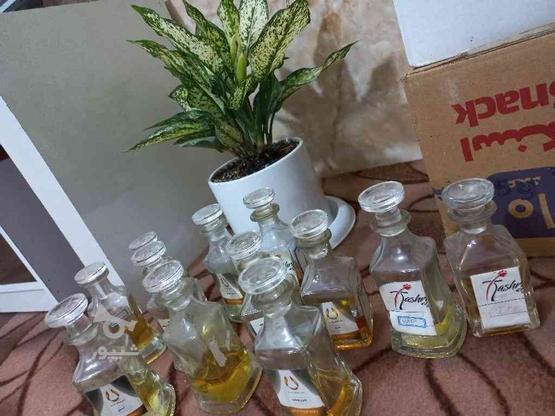 عطر در وزن های مختلف در گروه خرید و فروش صنعتی، اداری و تجاری در خراسان رضوی در شیپور-عکس1