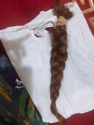 موی طبیعی بدون مو خوره در گروه خرید و فروش لوازم شخصی در مازندران در شیپور-عکس1