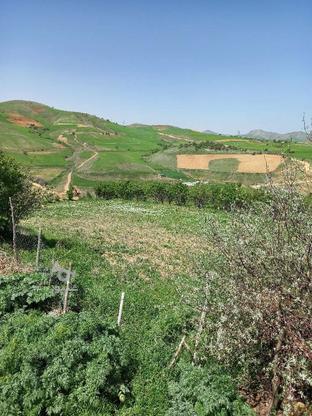 زمین در روستا قبغلو 5 کیلومتری سقز1100 متر در گروه خرید و فروش املاک در کردستان در شیپور-عکس1