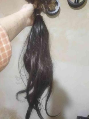 موی طبیعی 45سانتی در گروه خرید و فروش لوازم شخصی در اردبیل در شیپور-عکس1