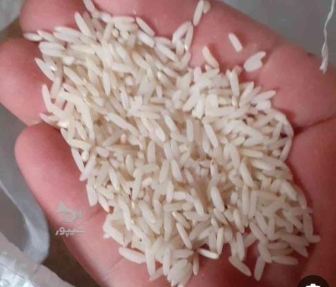 فروش برنج محلی طارم شمال با کیفیت بالا در گروه خرید و فروش خدمات و کسب و کار در مازندران در شیپور-عکس1