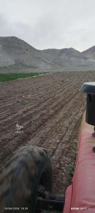 زمین کشاورزی در گروه خرید و فروش املاک در زنجان در شیپور-عکس1