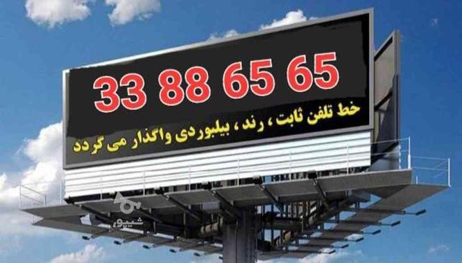 خط تلفن ثابت صفر رند رند طلایی ( 33886565 ) کیانشهر در گروه خرید و فروش موبایل، تبلت و لوازم در تهران در شیپور-عکس1