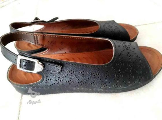 کفش تابستانی چرمی در گروه خرید و فروش لوازم شخصی در آذربایجان شرقی در شیپور-عکس1