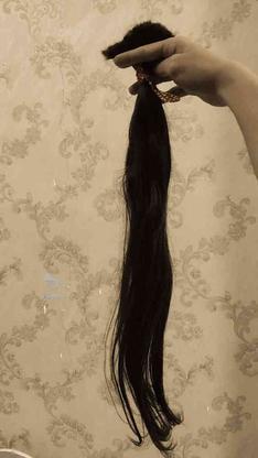 موی طبیعی بدون مو خوره در گروه خرید و فروش لوازم شخصی در اصفهان در شیپور-عکس1