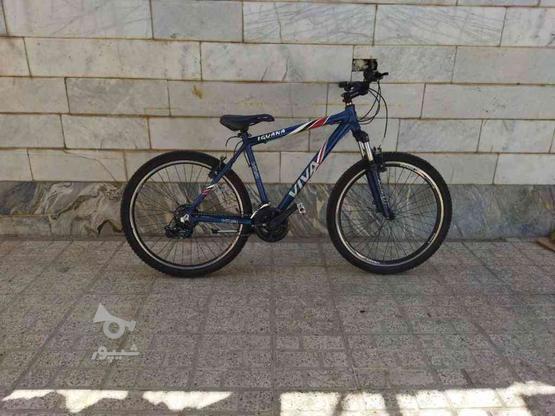 دوچرخه ویوا تایوان سایز 26, در گروه خرید و فروش ورزش فرهنگ فراغت در خراسان رضوی در شیپور-عکس1