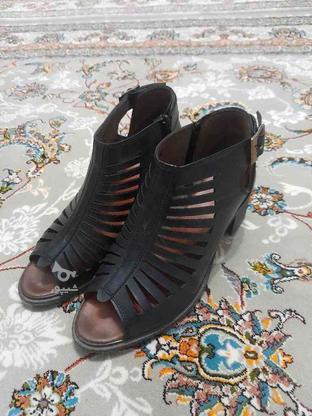 کفش زنانه نو در گروه خرید و فروش لوازم شخصی در آذربایجان غربی در شیپور-عکس1