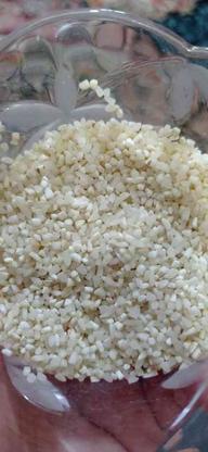 برنج لاشه بنام در گروه خرید و فروش خدمات و کسب و کار در مازندران در شیپور-عکس1