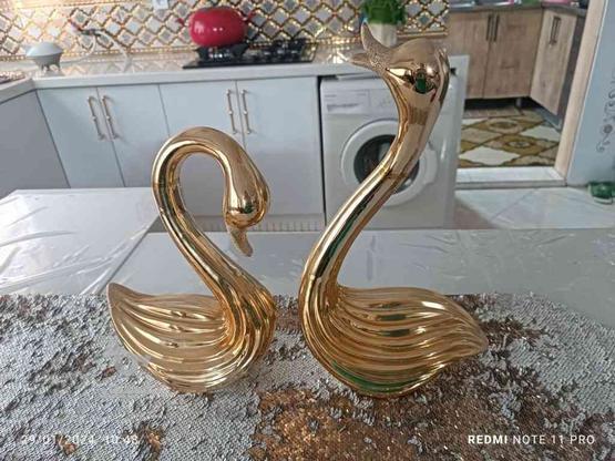 دو تا قوی طلایی عاشق سایز بزرگ در گروه خرید و فروش لوازم خانگی در مازندران در شیپور-عکس1