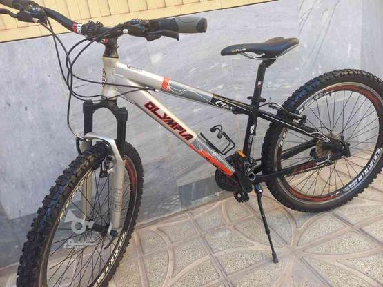 دوچرخه OLAMPIA اصل تایوان سایز 26 در گروه خرید و فروش ورزش فرهنگ فراغت در آذربایجان شرقی در شیپور-عکس1