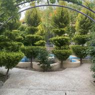 باغ ویلای شیک و زیبا