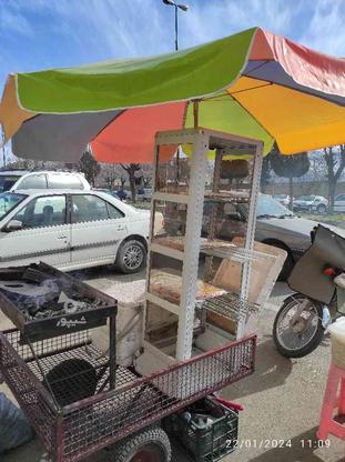حمل با متور سیکلت تکمیل با تمام وسایل در گروه خرید و فروش وسایل نقلیه در کردستان در شیپور-عکس1