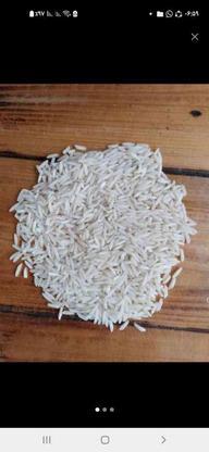 500کیلو برنج دم سیاه 300 کیلو برنج مختار هاشمی در گروه خرید و فروش خدمات و کسب و کار در گیلان در شیپور-عکس1