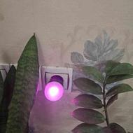 لامپ رشد گیاه
