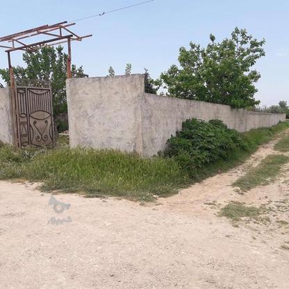 فروش زمین مسکونی 872 متر در تازه آباد اوایل در گروه خرید و فروش املاک در مازندران در شیپور-عکس1